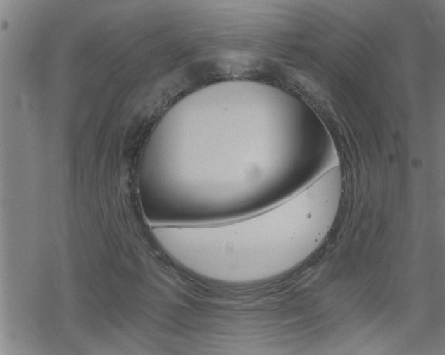 X0000069810221200605190853