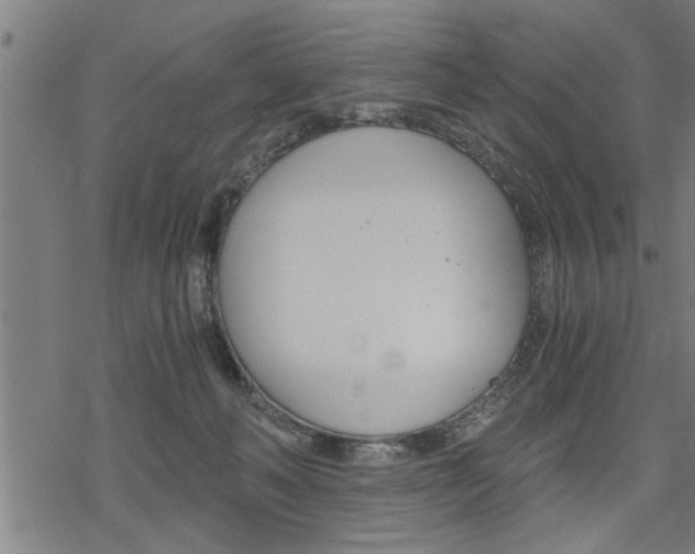 X0000069810222200605190853