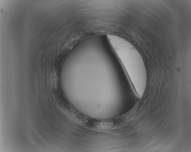 X0000069810223200605190853