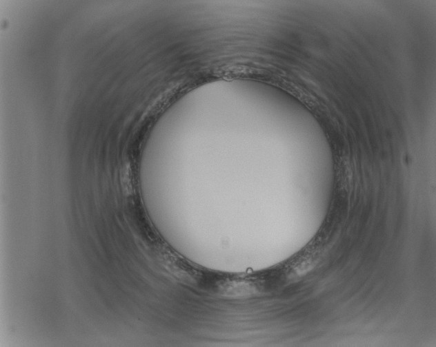 X0000069810224200605190853