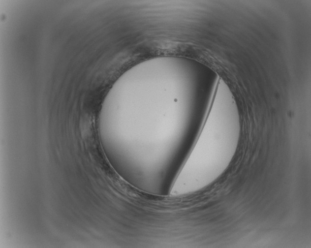 X0000069810225200605190853