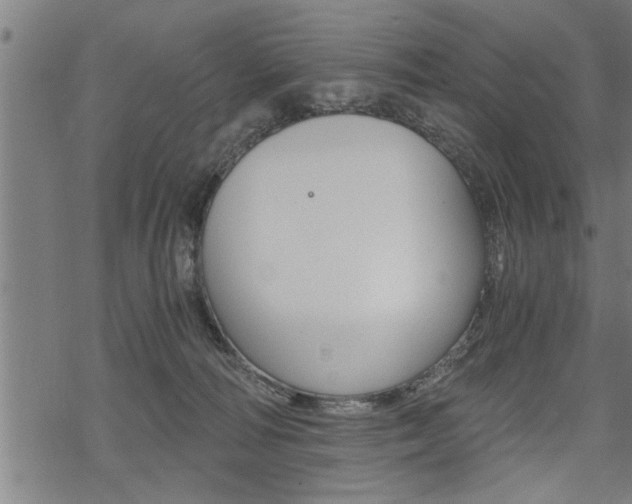 X0000069810226200605190853