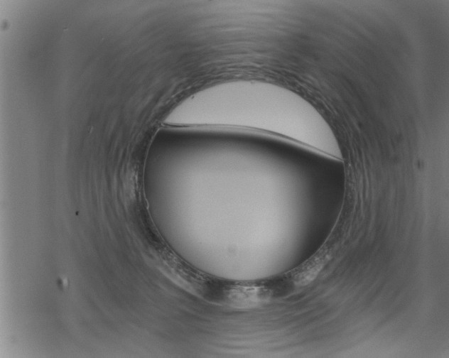 X0000069810227200605190853