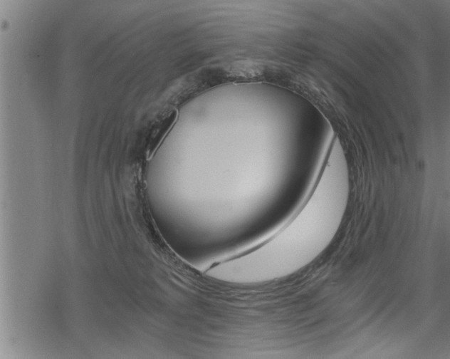 X0000069810229200605190853