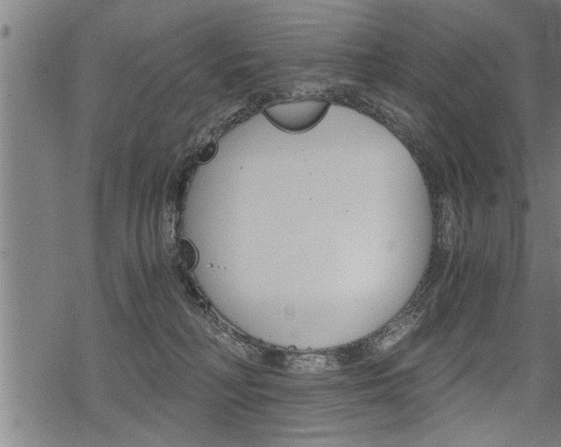 X0000069810230200605190853