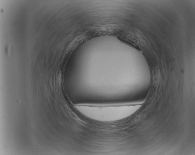 X0000069810231200605190853