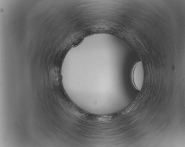 X0000069810232200605190853