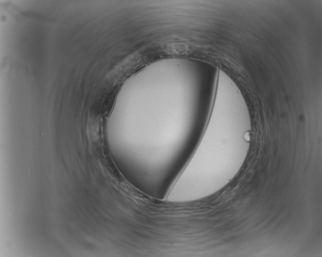 X0000069810233200605190853