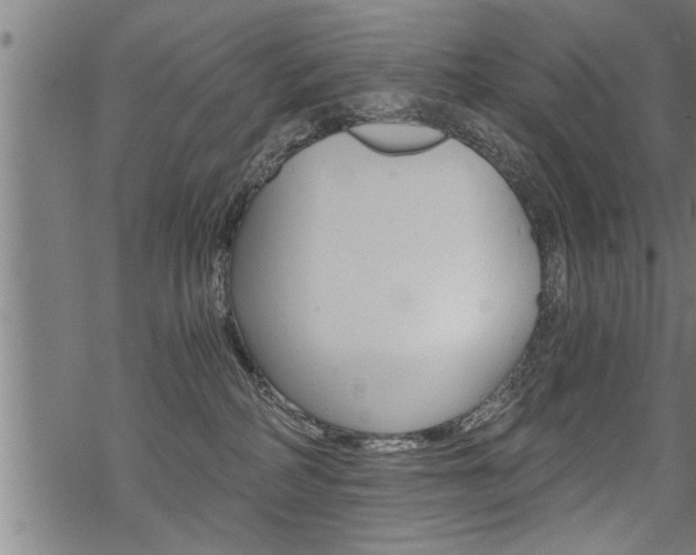 X0000069810234200605190853