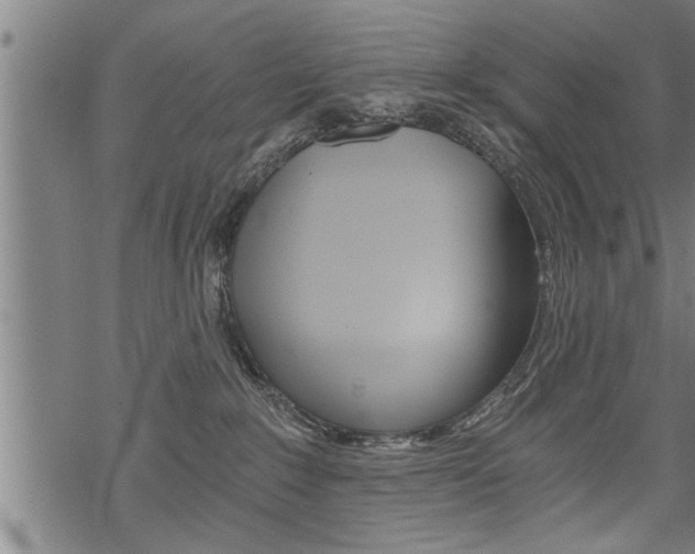 X0000069810235200605190853