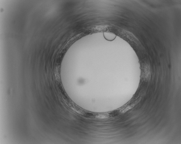 X0000069810236200605190853