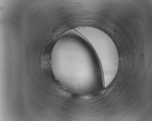 X0000069810237200605190853