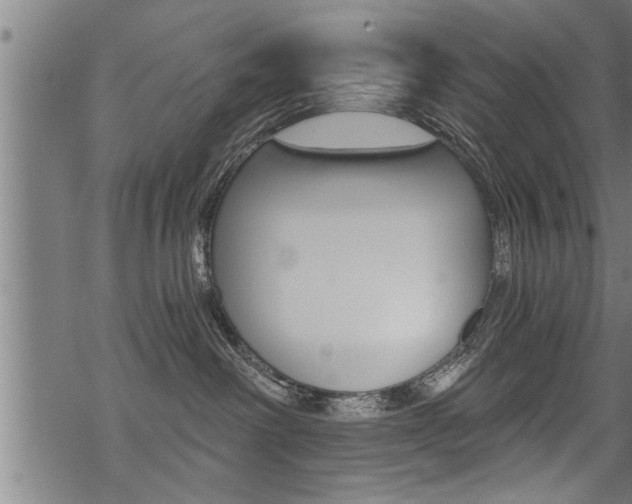 X0000069810238200605190853