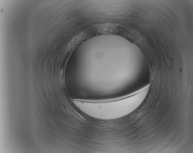 X0000069810239200605190853