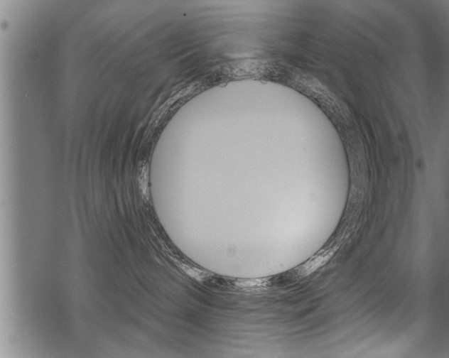 X0000069810240200605190853