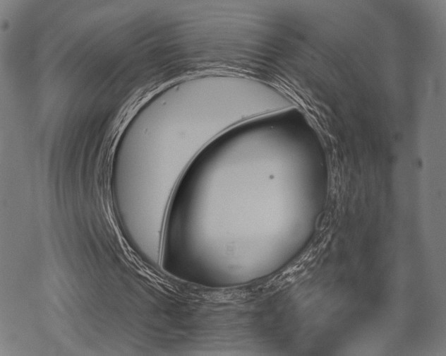 X0000069810241200605190852