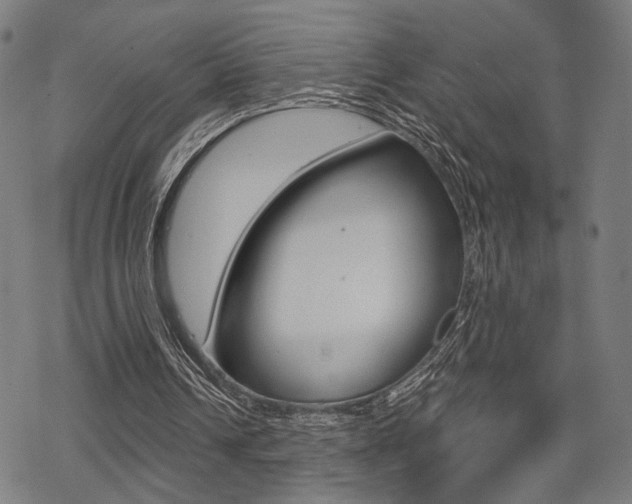 X0000069810242200605190852