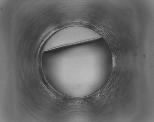 X0000069810243200605190852