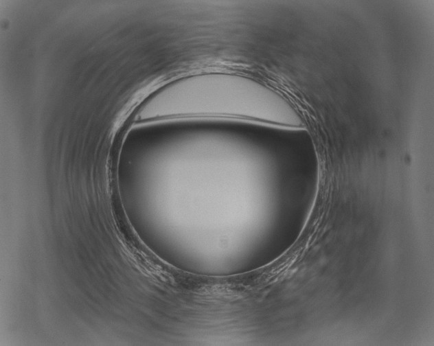 X0000069810244200605190852