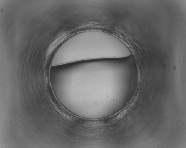 X0000069810245200605190852