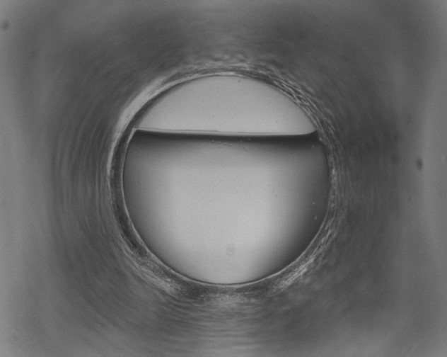 X0000069810246200605190852