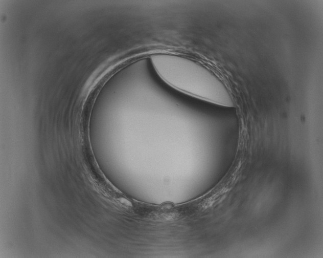 X0000069810247200605190852