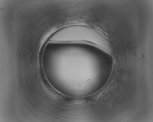 X0000069810248200605190852