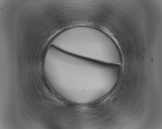 X0000069810249200605190852