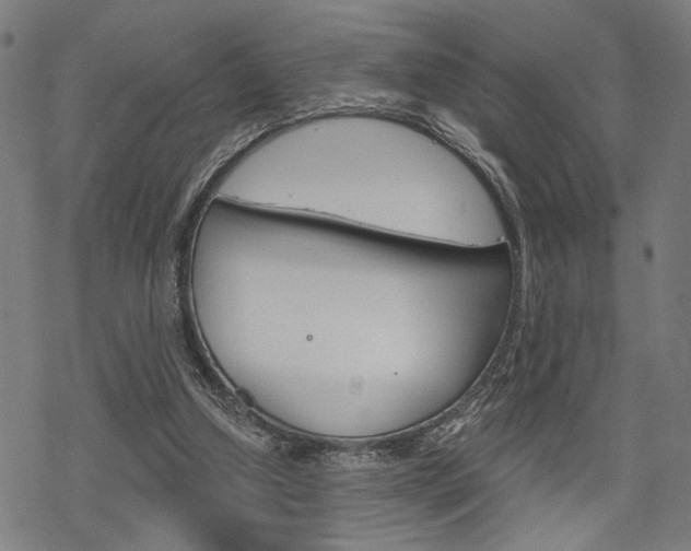 X0000069810250200605190852