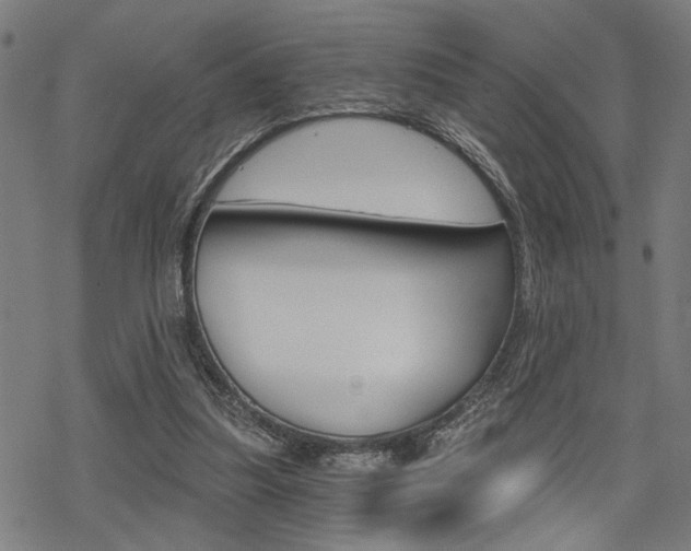 X0000069810251200605190852