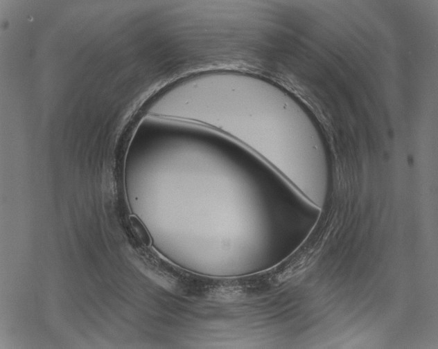 X0000069810252200605190852