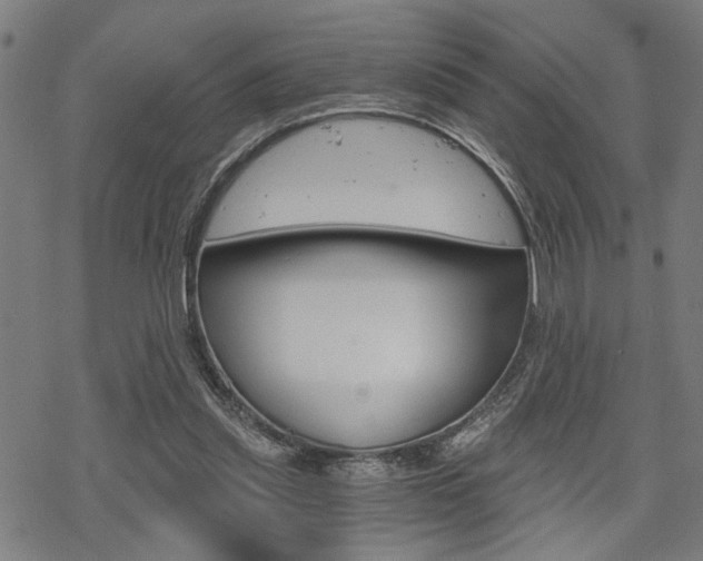 X0000069810253200605190852