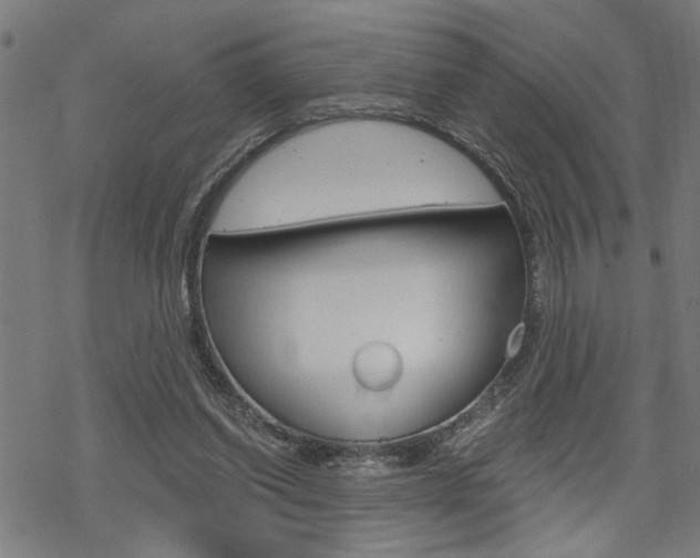 X0000069810254200605190852