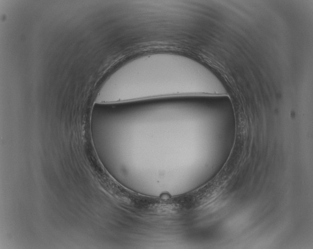 X0000069810255200605190852