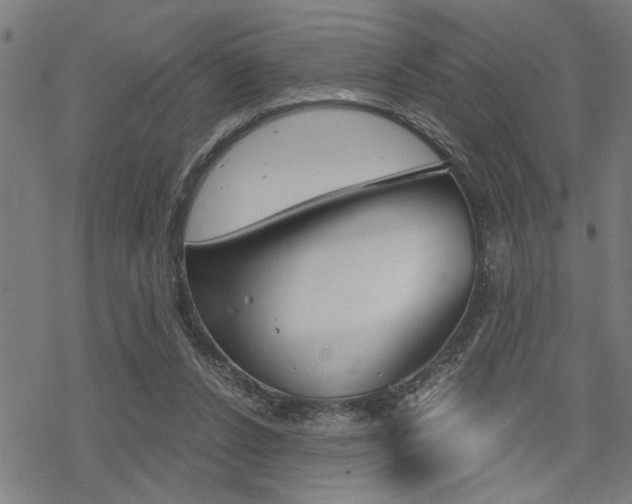 X0000069810256200605190852