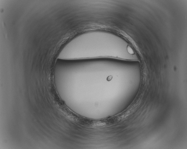 X0000069810257200605190852