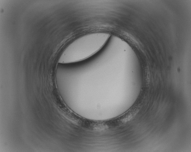 X0000069810258200605190852