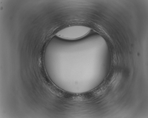 X0000069810259200605190852