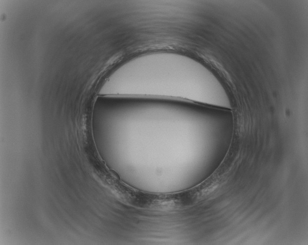 X0000069810260200605190852