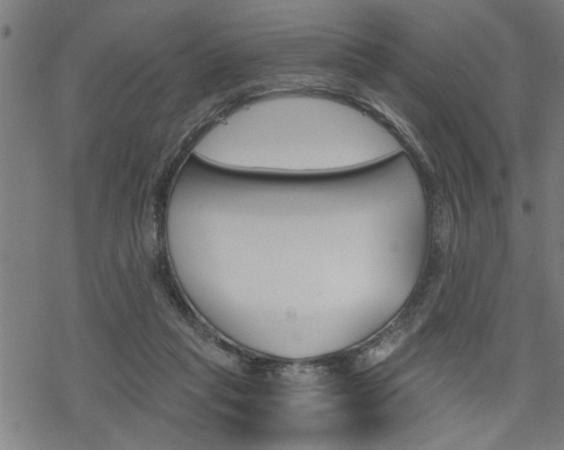 X0000069810261200605190852