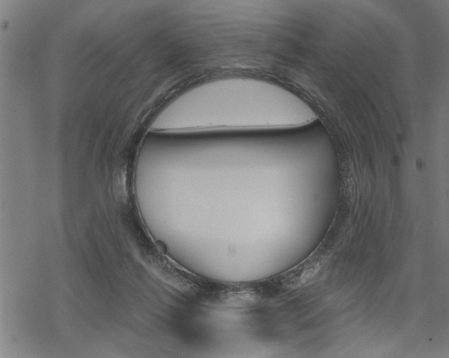 X0000069810262200605190852