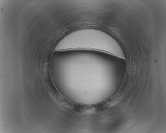 X0000069810263200605190852