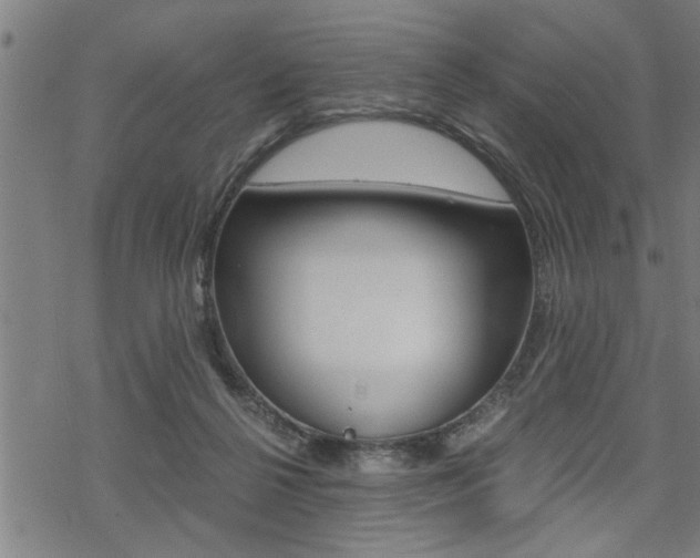 X0000069810264200605190852