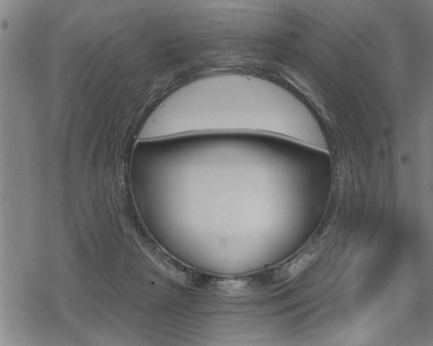 X0000069810265200605190852