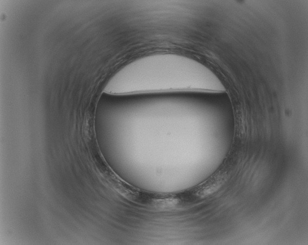 X0000069810266200605190852