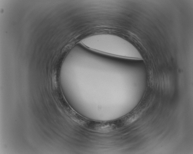 X0000069810267200605190852