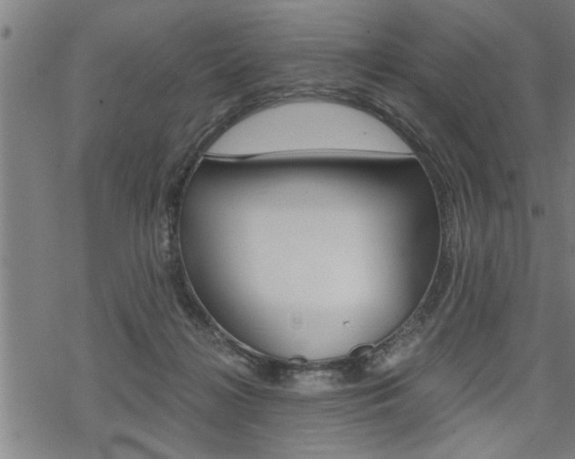 X0000069810268200605190852