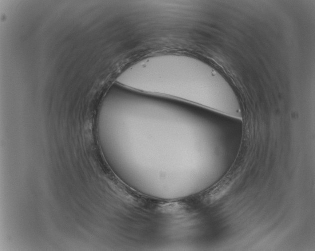 X0000069810269200605190852