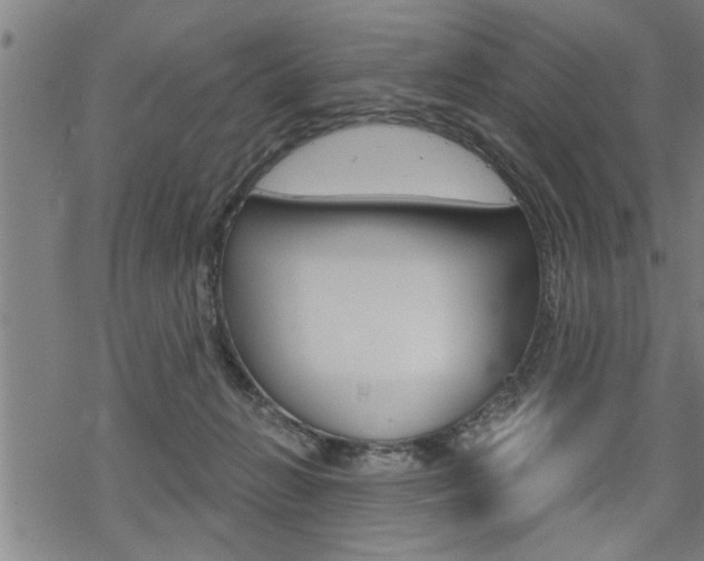 X0000069810270200605190852