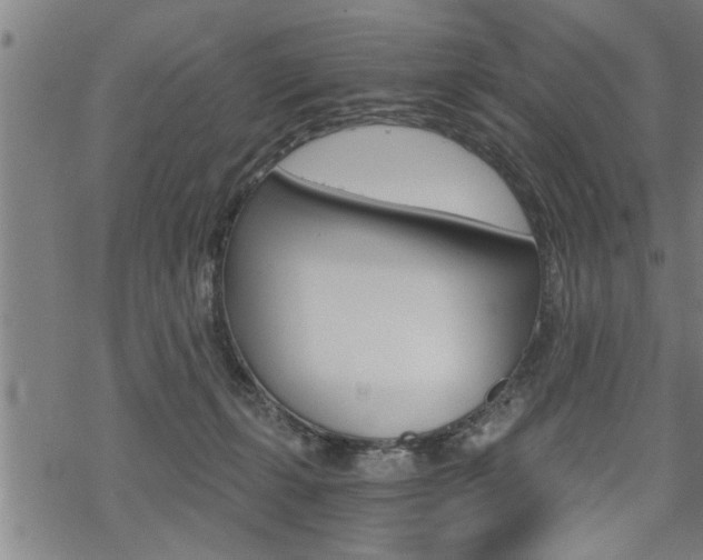 X0000069810271200605190852